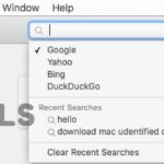 Cómo configurar Google como motor de búsqueda en Safari