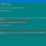 Error de actualización de Windows 11 0 × 8007000d | Correcciones comprobadas