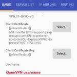 VPN en el escudo de Nvidia: Cómo instalar y configurar