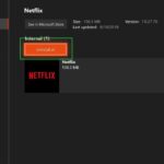 Corrección: Código de error de Netflix UI-113