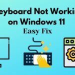 Cómo arreglar el teclado que no funciona en Windows 11 [corrección ]