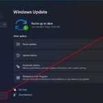 Cómo arreglar el micrófono de Windows 11 que no funciona [ Fix ]