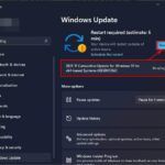 [Fijar ] No se puede instalar Windows 11 en SSD | Leer para averiguar