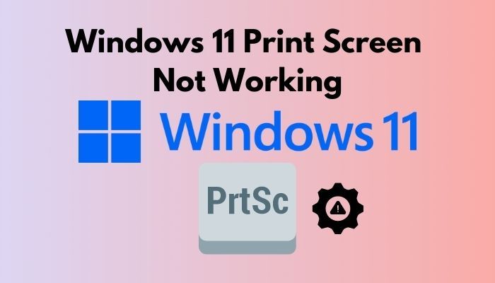 Windows-11-imprimir-pantalla-no-funciona